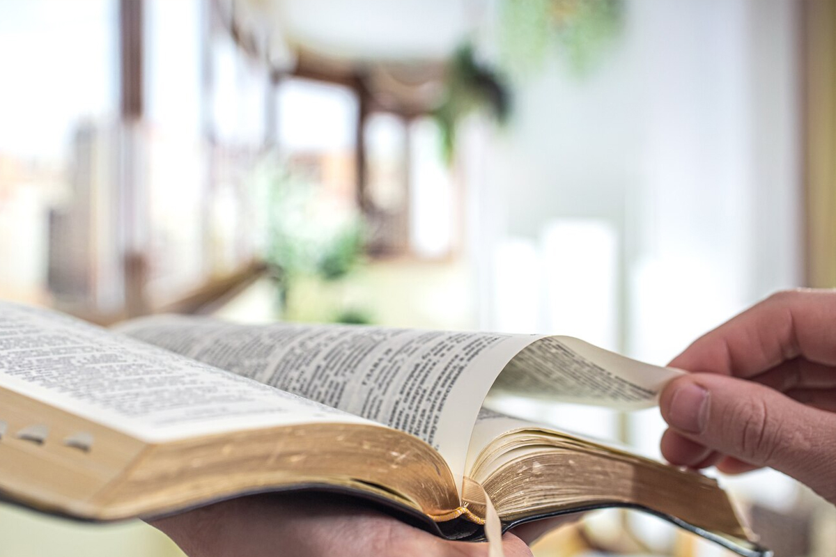 Leer la Biblia